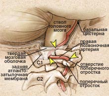 Вы точно человек?